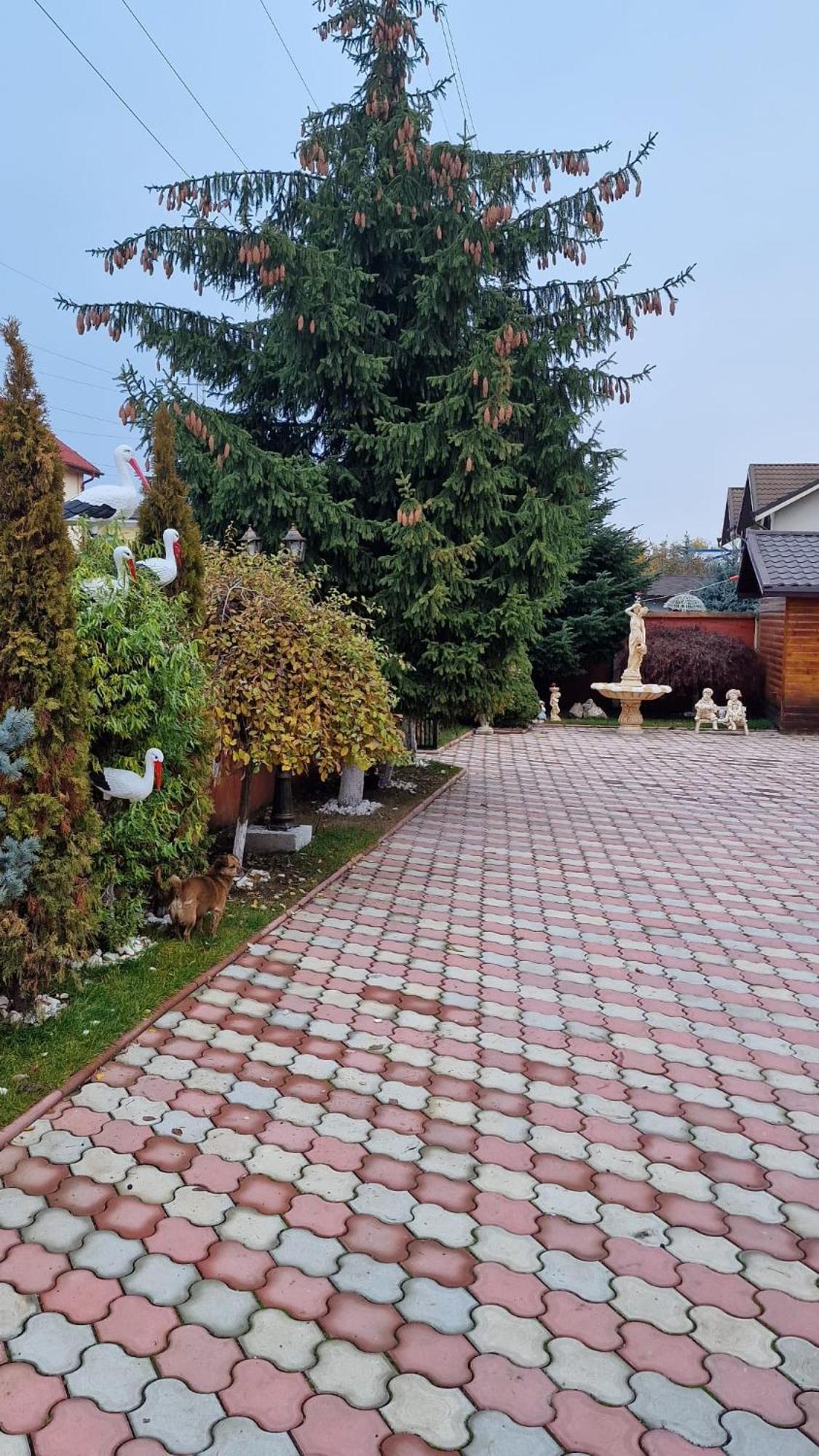 Pensiunea Toma Ploieşti Dış mekan fotoğraf